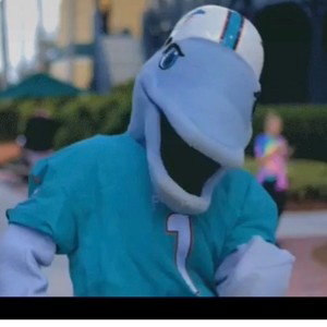 A a a ya Miami dolphins are best team in the league  North Carolina were I’m from now time to win jalen  waddle Chub tyr