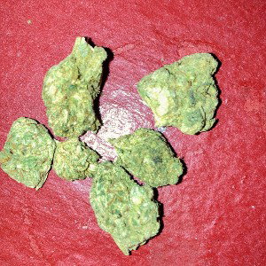 Gelato (13:40:48)