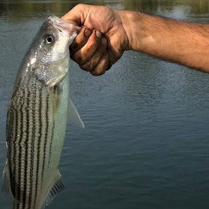 big fat rhyme fishing time