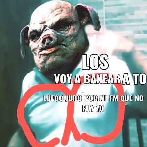 - rip PAL cerdo 207🖕