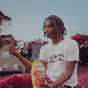 365 freestyle 