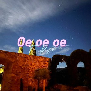 oe oe oe