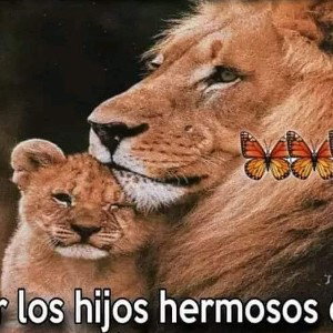 Él crece y lo vé