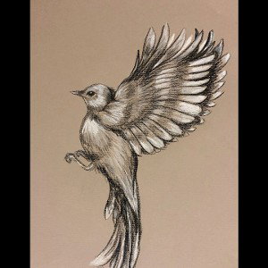 Fly