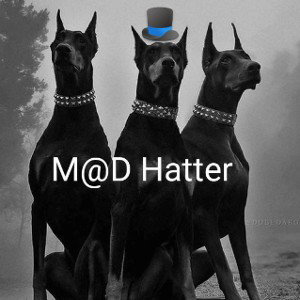 M∆D H@TT3R F✓©W  🆓$T¥√€