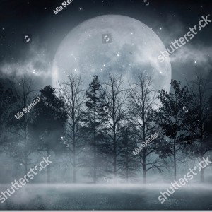moon light
