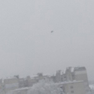 Непорядок на Югах