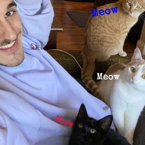 Cat Meows