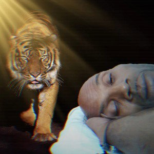 No Sleep