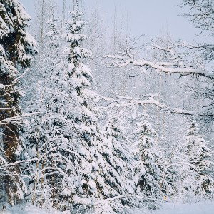 Зима