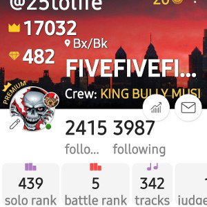 king_bully_freestyle