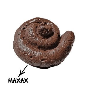 THE STORY OF MAXAX
