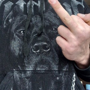 смысловые галюцинации