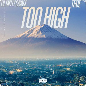 Too High [Feat True]