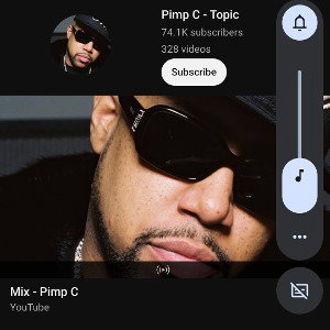 The New Pimp C.....