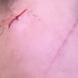 √5€bez_$ /jackfight