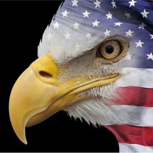LIKE AN EAGLE