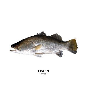 FISH’N 