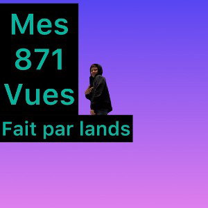 mes 871 vues