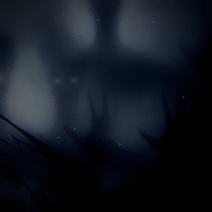 in the dark