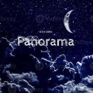 3. PANORAMA