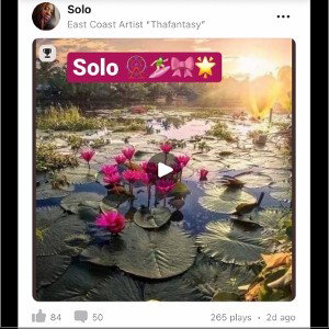 Solo   (Contest)