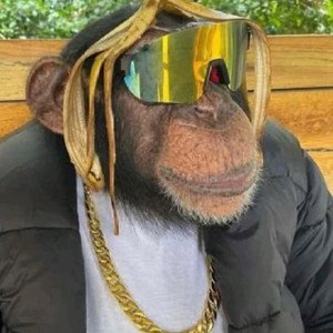 don’t play with lil monk monk