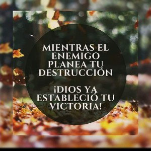 Reflection (14:24:21)