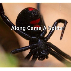 Along came A Spider 🕷