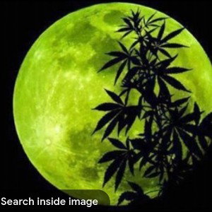 Steppin To The Moon