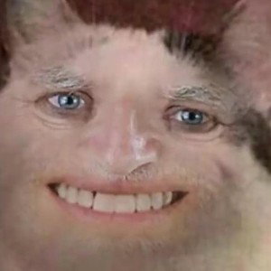 MDM