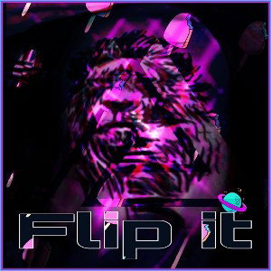 FLIP IT 