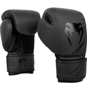 fighter