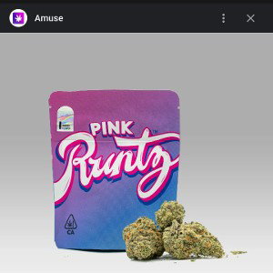 RUNTZ RUNTZ 🔥