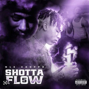 shotta flow 12