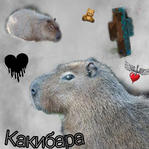 КАКИБАРА