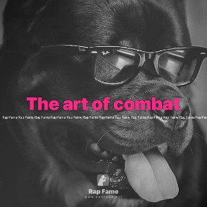The art of combat 
