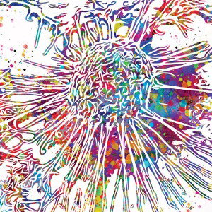 AlbumCon-VictTrack:Envy