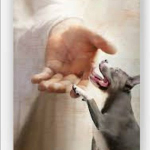 God_forever_loved 20230413-185436