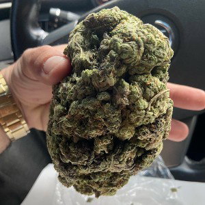 50 off an Eighth