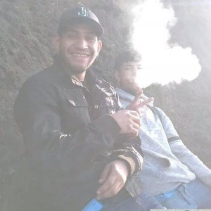 perros y callejero