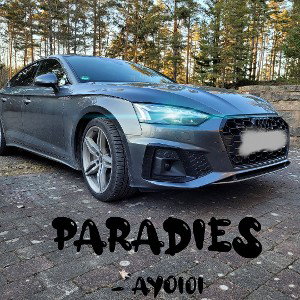 Paradies - Ayo101 (Snippet)