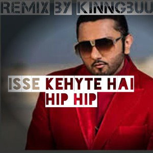 isse kehyte hai hip hop 