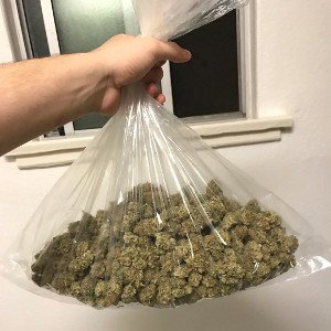 Opp Tracker