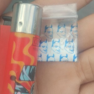 probando gang