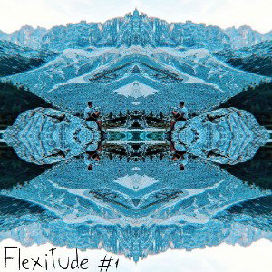 Flexitude #1