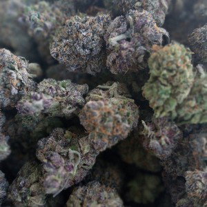Mak_Hustle - show you how 