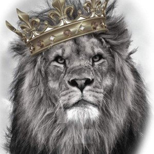l'm leader of the pack