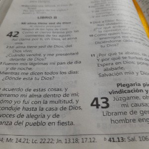 Salmo 42