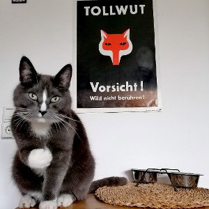 Ihr kleinen Pisser!